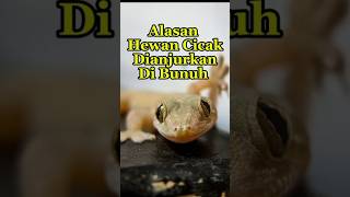 Inilah Alasan Hewan Cicak Harus Di Bunuh