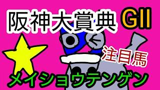 阪神大賞典2020  【メイショウテンゲン】