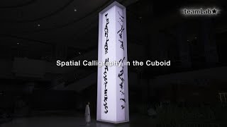 Spatial Calligraphy in the Cuboid