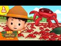 RAJA KEPITING!! 👑🦀 | 8 MIN | Leo Si Penjaga Alam | Kartun Anak