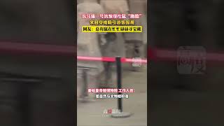 兵马俑一号坑惊现松鼠“跑酷”，来回穿梭吸引游客围观，网友：总有鼠在忙忙碌碌寻宝藏。