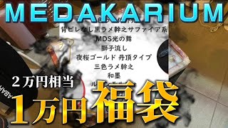 新春 2023 高級改良メダカ福袋 開封