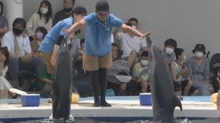 観光客でにぎわう四国水族館　3連休最終日には「移動交番」も　香川・宇多津町