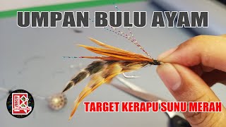 CARA MEMBUAT UMPAN IKAN KERAPU SUNU MERAH, PAKAI BULU AYAM