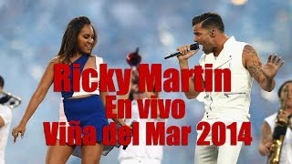 Ricky Martin Viña del mar 2014 // ARtv Music