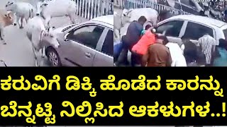 ಛತ್ತೀಸ್’ಗಢದ ರಾಯ್’ಗರದಲ್ಲಿ ನಡೆದ ಘಟನೆ : ಕರುವಿಗೆ ಡಿಕ್ಕಿ ಹೊಡೆದ ಕಾರನ್ನು ಬೆನ್ನಟ್ಟಿ ನಿಲ್ಲಿಸಿದ ಆಕಳುಗಳ..!