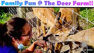 Exciting Afternoon @the Deer-farm //மான்கள் வளர்க்குமிடத்தில் ஒரு நாள்//