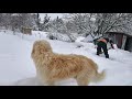 winter in zuid zweden en tegenslagen mijn off grid boerderij vlog 26