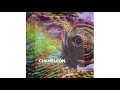 Boris Brejcha - Chameleon (Original Mix)