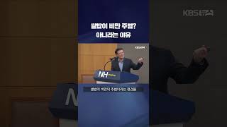 익숙해서 몰랐던 쌀의 재발견…상품화 가능성, 다이어트 강점 #shorts / KBS