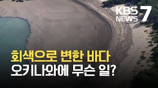 일본 해변 덮친 화산 돌덩이…회색빛 바다에 어업·생태계 타격 / KBS  2021.10.27.