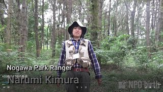 Did you know that the Oak trees in Tokyo are in big trouble?（東京都近辺で発生しているナラの木の病気の事を知っている？）