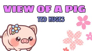 VIEW OF A PIG | Ted Hughes poem analysis | #tedhughes #viewofapigpoem