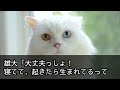 【スカッとする話】私「離婚して下さい。限界です...」夫「じゃあ子供3人はお前が連れてけ！慰謝料に貯金は全部貰うからw」離婚して新築に引っ越すと夫から鬼電が→私（やっと罠に気づいたのねw）実は...