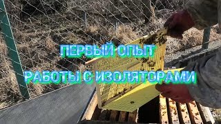 21 день изоляции маток. Результат