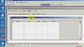 Alpha Five Tutorial 01
