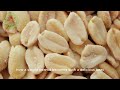 how peanut products are made peanuts harvesting and processing farming documentary