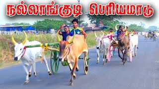 2சிவகங்கை[மா] நல்லாங்குடி  25 ஆயிரம்-பந்தயம்-10.04.2024