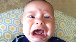 Funny Baby Videos Will Make You Laugh Out Loud | BABY BROS