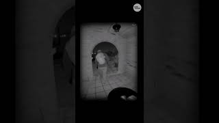Nancy Guthrie suspect video analysis reveals new details