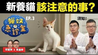 【新養貓該注意的事？】貓奴急診室EP.3 志銘與狸貓