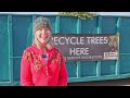 billings area nonprofit keeps circle of life going with annual christmas tree recycling