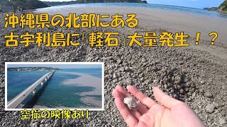 沖縄県北部の海で軽石の観察してみた