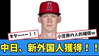 中日、新外国人獲得！！【プロ野球反応集】