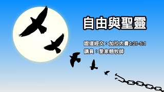 【自由與聖靈】｜黎家翹牧師｜加拉太書4:21—5:1 | 恩福中心 華語崇拜 | 2021-11-07