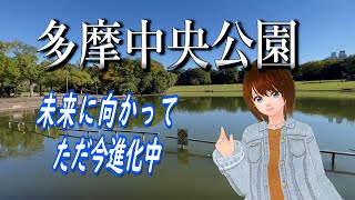 アバターさんぽVLOG/東京都/多摩中央公園/October-2022