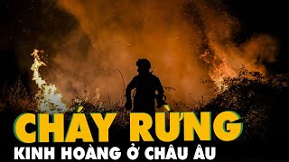 Cháy rừng kinh hoàng do nắng nóng ở nhiều nước châu Âu