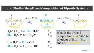 CHE 226 Chapter 11-02A Leucine Solution pH and Composition