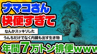 【2ch動物スレ】太くて長い健康的なウンチを豪快に解き放つナマコ。海の生態系にとって、ナマコのウンコはとても重要