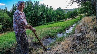 Doğada Geçen Bir Ömür