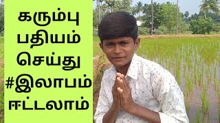 எளிதாக கரும்பு பதியம் செய்து இலாபம் ஈட்டலாம் !! Agricultural news | GOVICHIN Tamil |