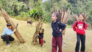 The two granddaughters help their grandfather do housework and go to the forest to collect firewood