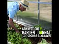 connecticut garden journal when planning shade gardens consider light and moisture levels