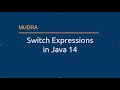 Understanding Switch Expressions in Java 14+