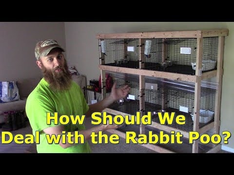 Our Rabbit Breeding Set Up...So Far by @GettinJunkDone Our Rabbit Breeding Set Up...So Far by @GettinJunkDone