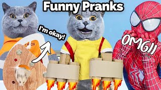 Celebrating One Year With A Wonderful Video Feast!🥳 | Oscar‘s Funny World |New Funny Cat Videos 2023