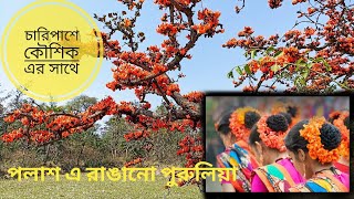 Purulia Trip // পুরুলিয়ার পলাশ ফুল // বসন্তের পুরুলিয়া