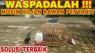 Playtube Pk Ultimate Video Sharing Website