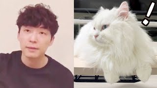 【うちで踊ろう】星野源×まーくんと猫