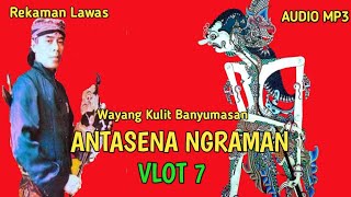 ANTASENA NGRAMAN VOLT 7 || KI SUGINO SISWO CARITO { DALANG GINO }