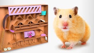 How To Make A Cardboard Labyrinth For Your Hamster Pets