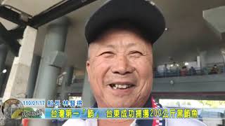 20210117 11 台灣第一「鮪」 台東成功捕獲200公斤黑鮪魚