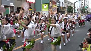 20230820 [4K] 'Mitaka Awa Odori' dance festival ②(第56回三鷹阿波おどり) August 20, 2023