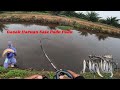 Strike Haruan Bertubi Tubi🔥 | Shimano Excense Dc Ss