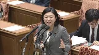 2024/12/13  衆議院 政治改革に関する特別委員会