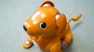 【aiboのモミジ】アイボの機能　鳴き声や瞳の色を変更できるよ！【キャラメルエディション】Sony robot dog, aibo's excellent features.